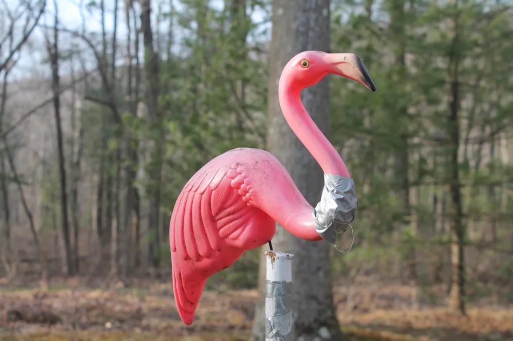 Mountain Creek Camp Ground gallery 2