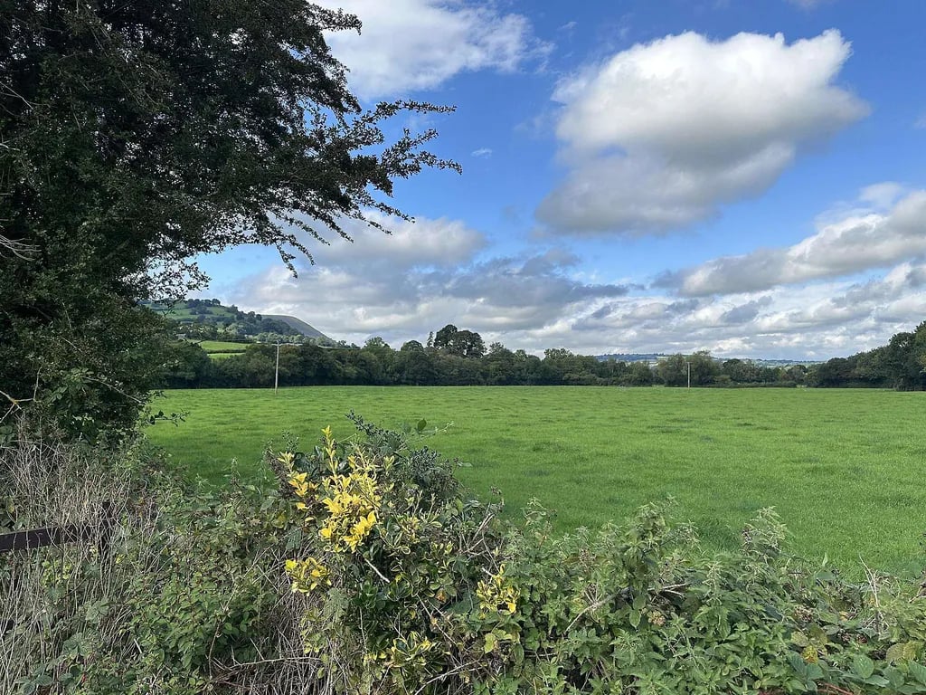 The River’s Edge gallery 1