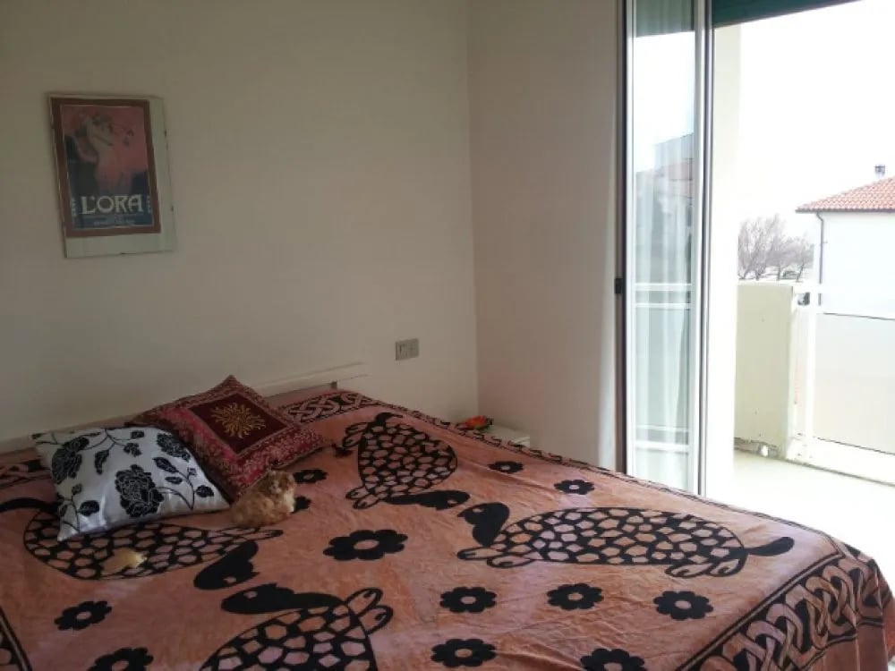 Pet Family Camping Cortina gallery 2