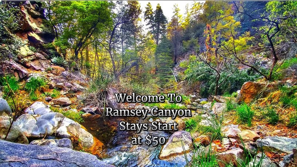 Ramsey Canyon Cabins gallery 3