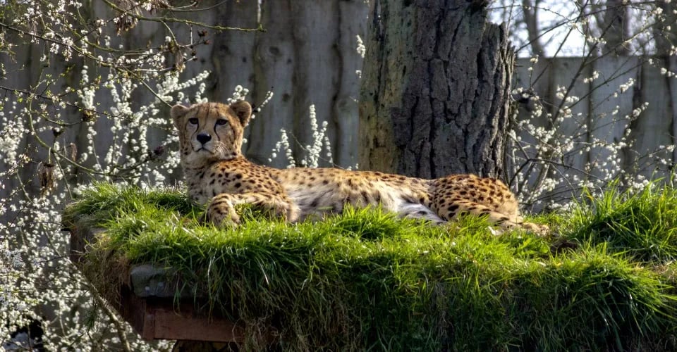 Brixton Caravan and Camping Park gallery 1