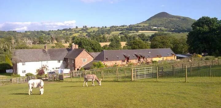 Pen-y-dre Caravan and Camping Site gallery 3