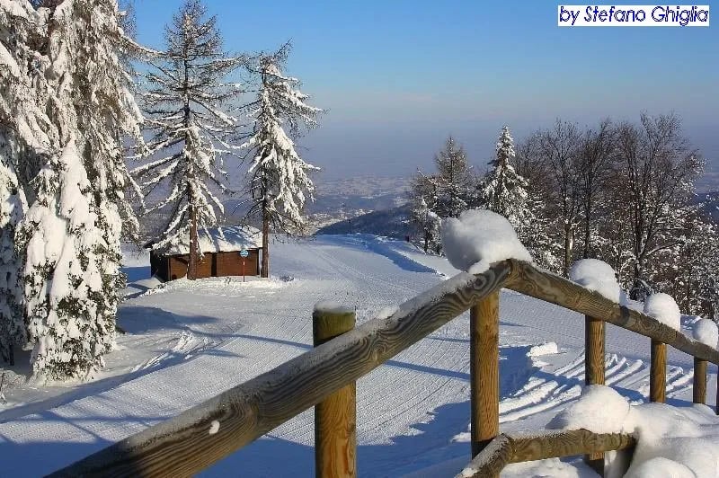 Camping Yoghi e Bubu gallery 3