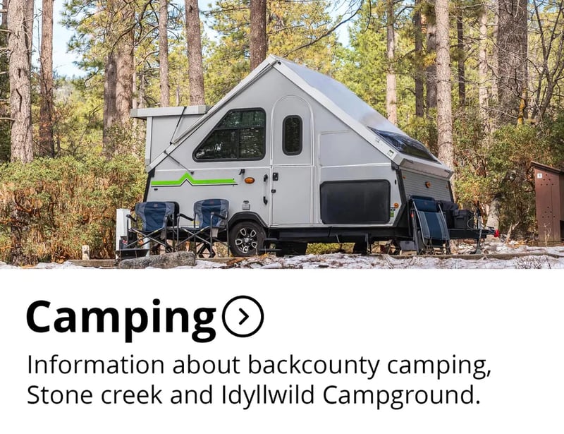 Round Valley Campsite — Mount San Jacinto State Park gallery 1