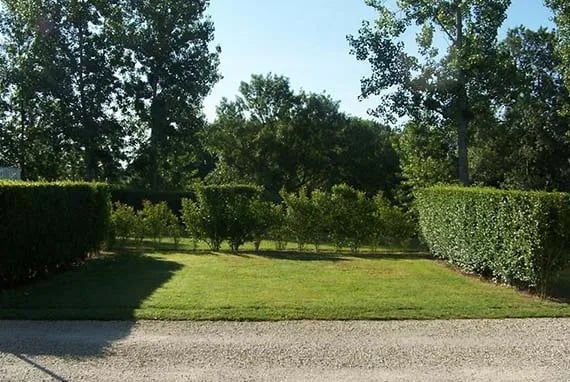 Camping Les Rioms gallery 3
