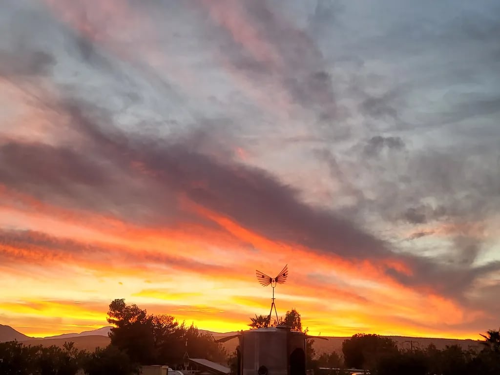 Joshua Tree Lake RV & Campground gallery 1