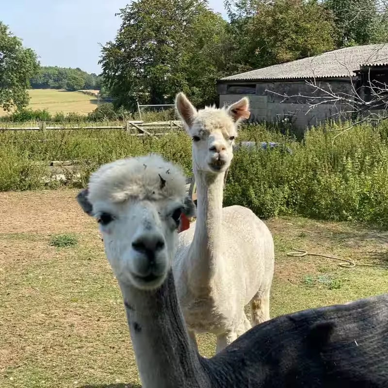 New Green End Farm gallery 3