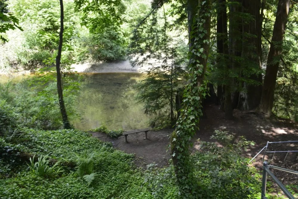 Santa Cruz Redwoods RV Resort gallery 1