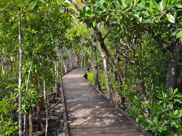 Cape Hillsborough National Park gallery 3