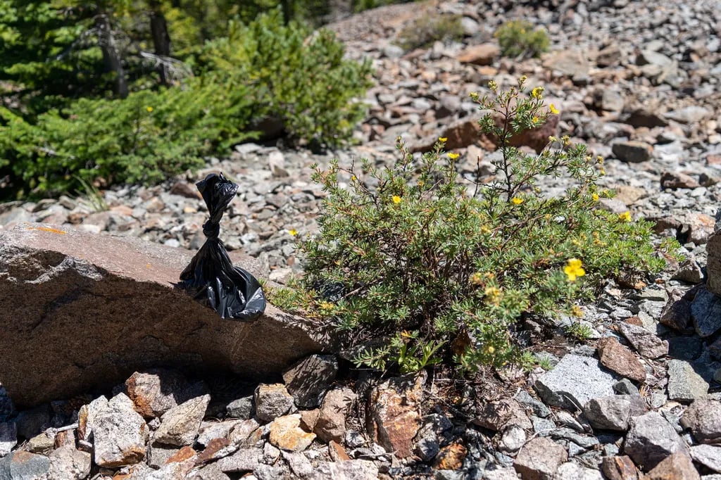 Tarryall Reservoir State Wildlife Campground