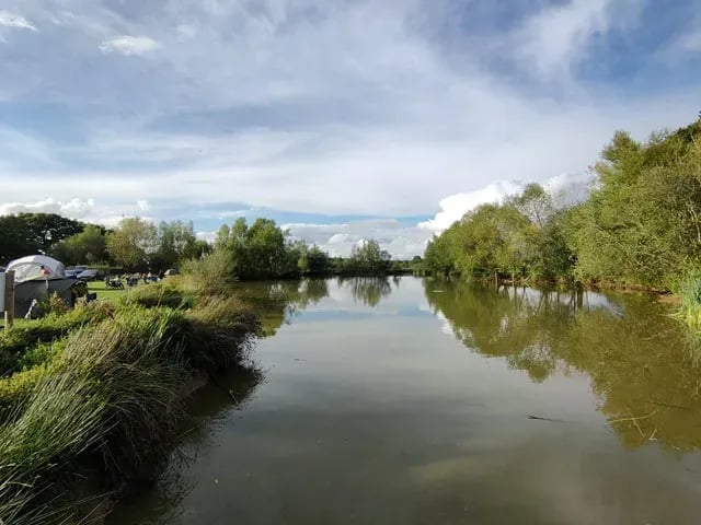 Blacklands Farm gallery 3