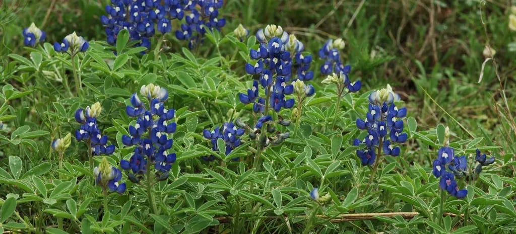 McKinney Falls State Park Campground gallery 1