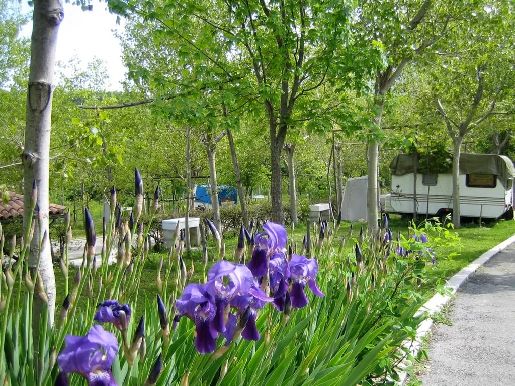 Agricampeggio Colle dei Lupi gallery 1