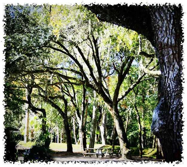 Seminole Campground gallery 3