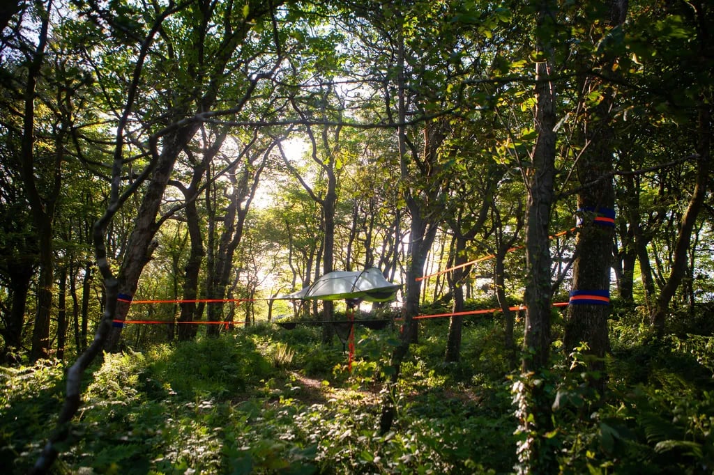 Kite View Farm gallery 2