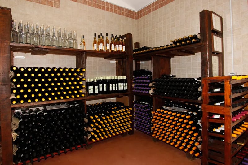 Agriturismo La Serra del Pino gallery 2