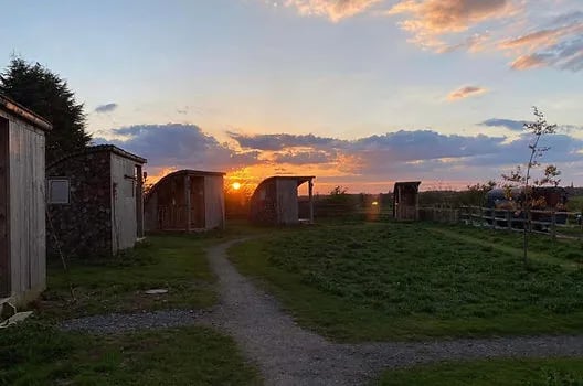 Ettie’s Field gallery 1