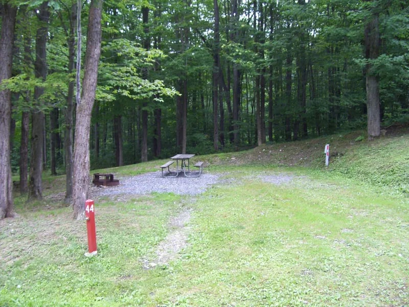 Curwensville Lake Campground gallery 2