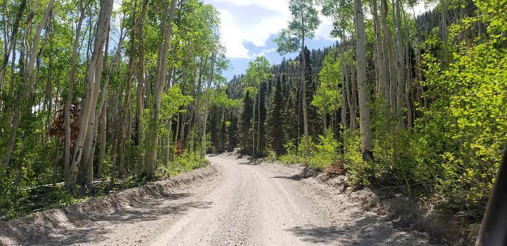 Lizzie & Charlies RV-ATV Park gallery 2