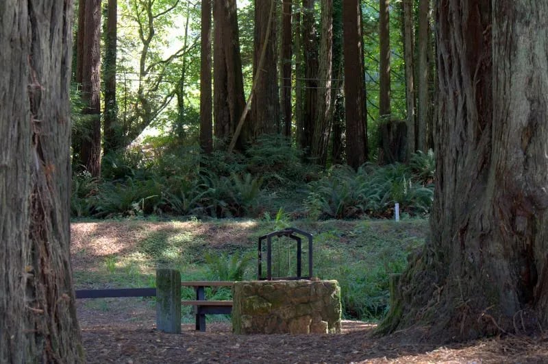 Ruby Van Deventer Co Park gallery 3