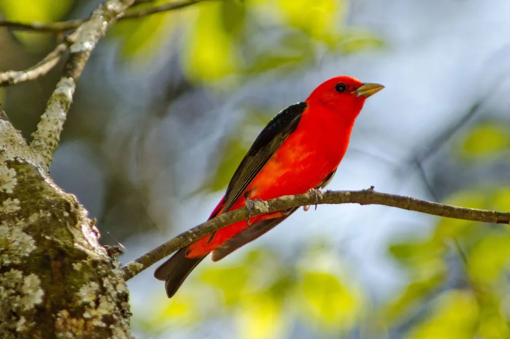 Cherokee Rock Village gallery 3