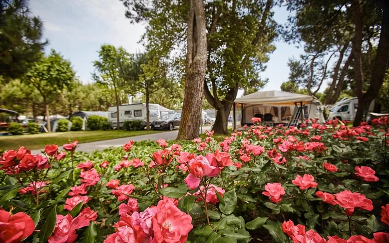Camping Village Dei Fiori gallery 1