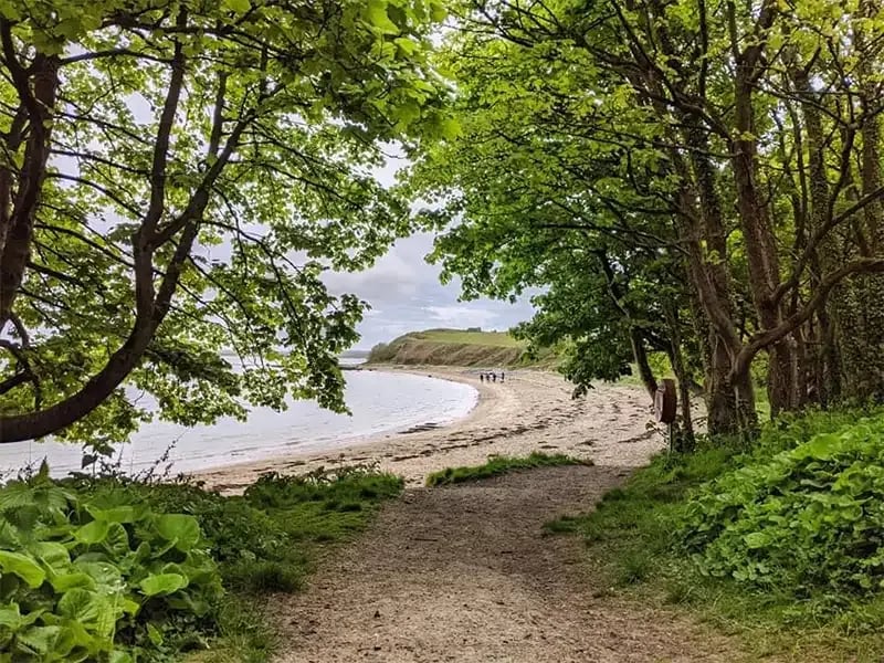 Presaddfed gallery 1