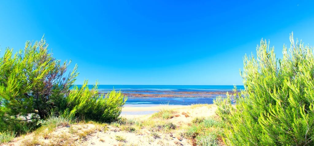 Camping Le Cormoran gallery 3