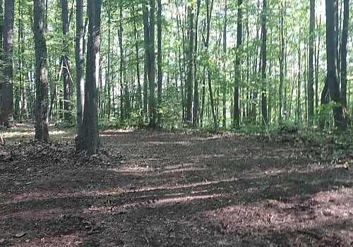 Cool Lea Camp LLC gallery 3