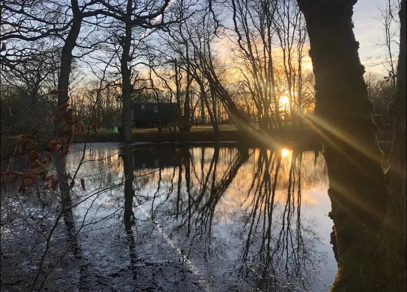 The Big Green Shepherd’s Hut gallery 1