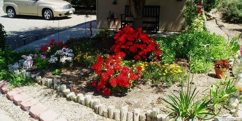 Jojoba Hills SKP Resort gallery 2
