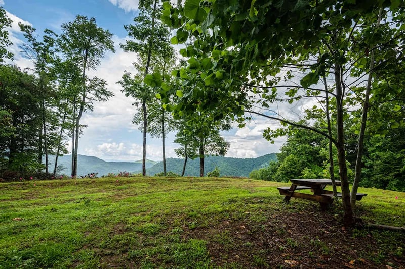 Snowbird Camping gallery 1
