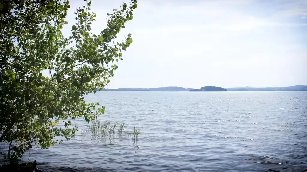 Agricamping Monterotondo gallery 2