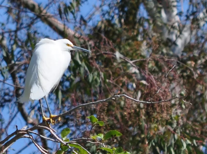 Yucaipa Regional Park gallery 2