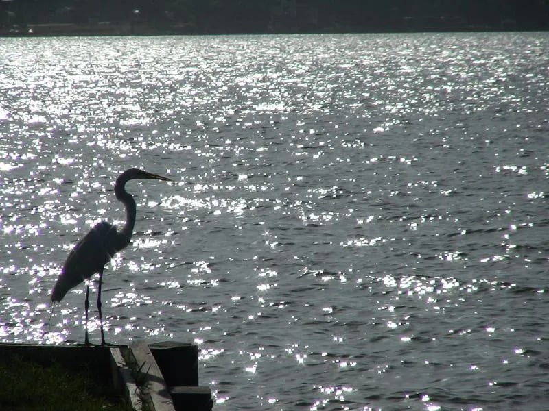 Waterfront Lodge, Marina and RV Park – Lake Livingston gallery 1