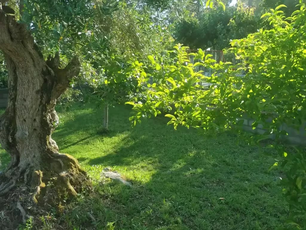 Camping las Dunas gallery 1