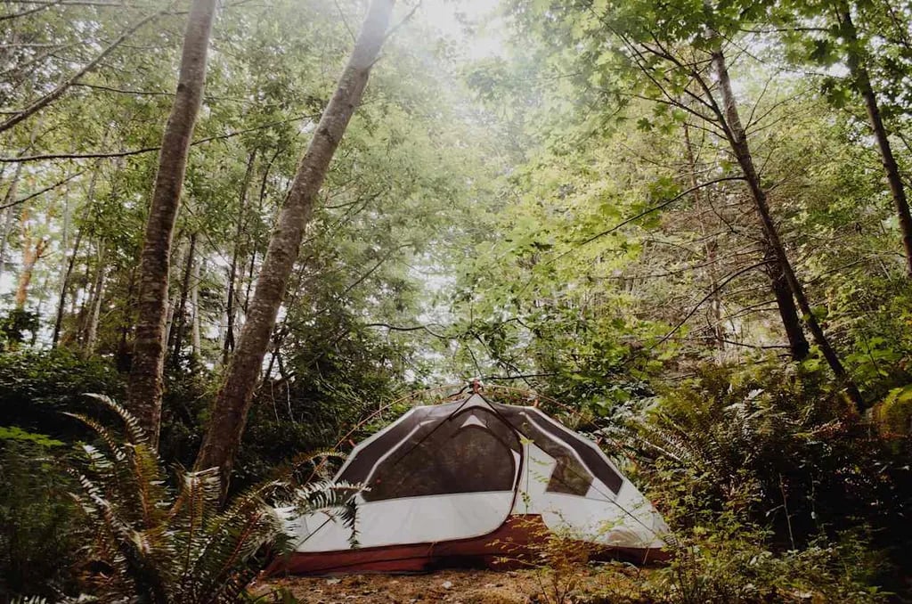 Rose Creek Retreat gallery 1