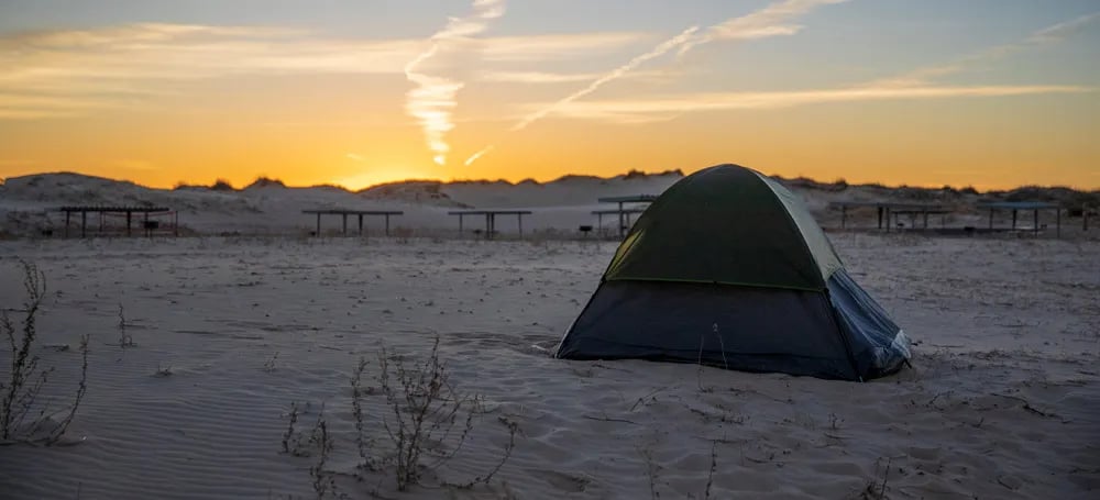 Monahans Sandhills State Park Campground gallery 3