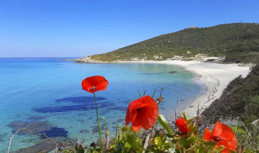 Camping Bodri gallery 3