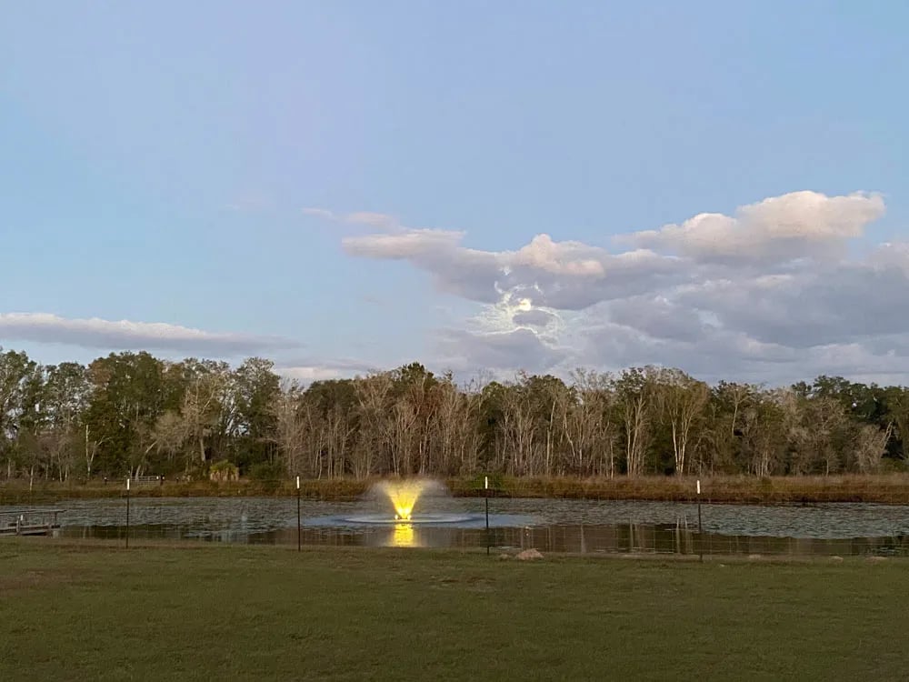 Old Highway 19 RV Park gallery 1