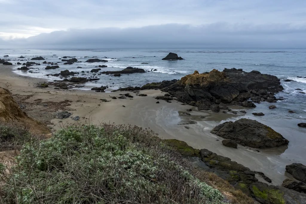 Washburn Primitive Campground — Hearst San Simeon State Park gallery 3