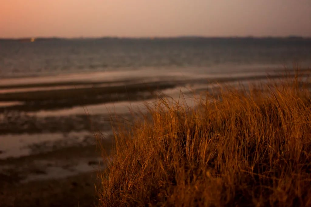 Ostseecamping Ferienpark Zierow KG gallery 2