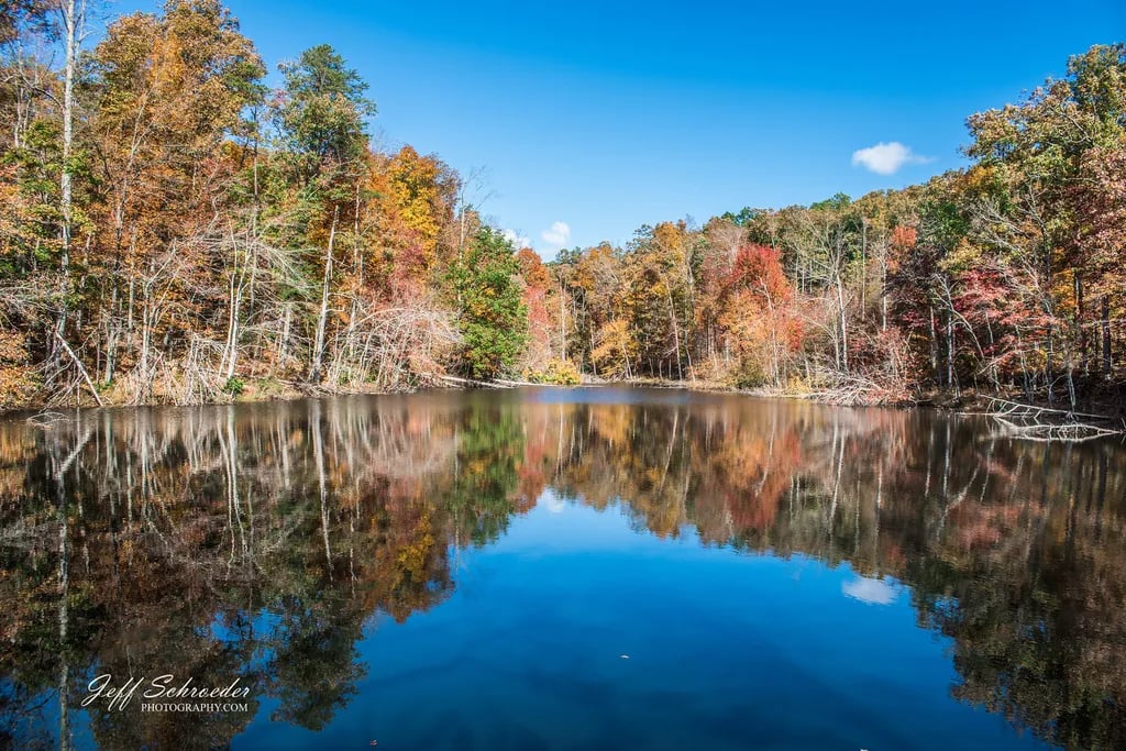 Holpps Pine Ridge Lake Campground gallery 1