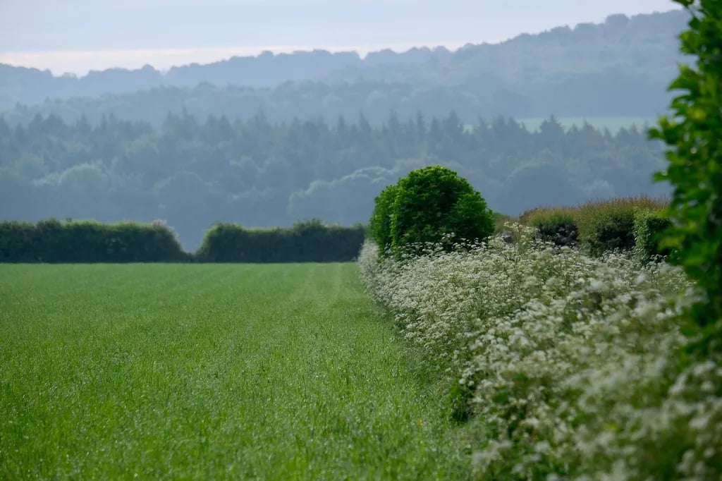 Ridgeway View Campsite gallery 1