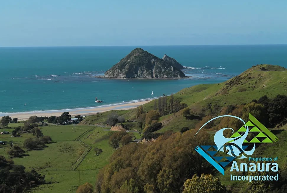 Anaura Bay Motor Camp