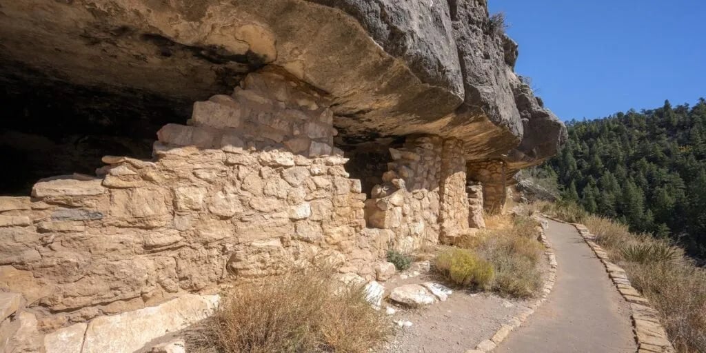 Woody Mountain gallery 2