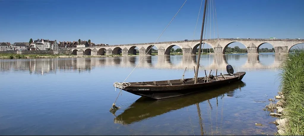 Camping Touristique de Gien gallery 2