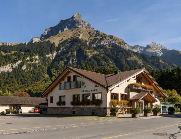 Alpenresort Eienwäldli Engelberg gallery 3