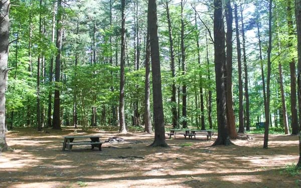 Whip O Will Campsites gallery 3