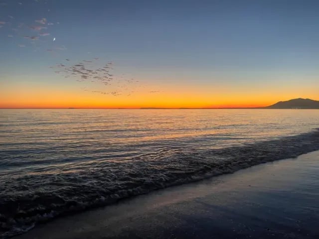 Camping and Bungalows La Buganvilla gallery 2